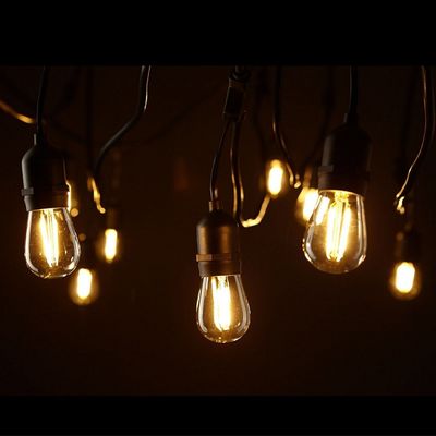 よく設計された電源コードで操作された裏庭のストリングライト