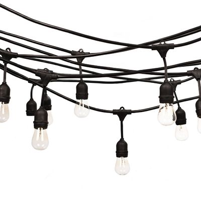 よく設計された電源コードで操作された裏庭のストリングライト