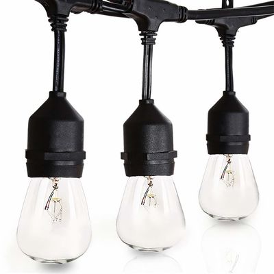 Festoon ガーランドライト LED 透明な電球ベルトライト 低電圧照明ストランド