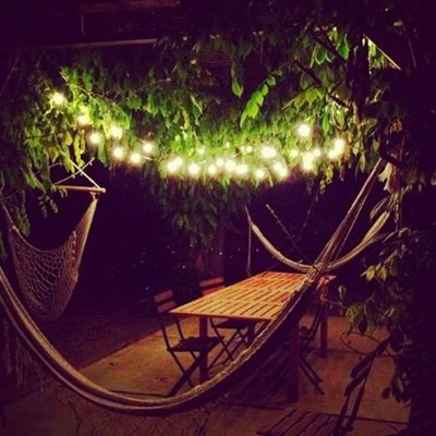 100V-220V オーダーメイド サイズ スターライト LED ガーランド 屋外 庭 寝室 背景