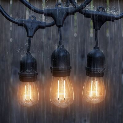 オーダーメイド カラーサイズ LED ストリングライト 屋外フェストン 庭園の飾り付け